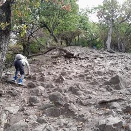 Vadálló-kövek, Dömös - Egyéb