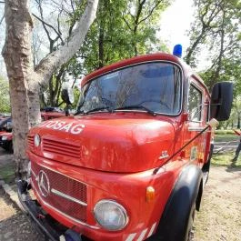 Városliget, Budapest - Egyéb