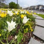 Városliget Budapest - Egyéb