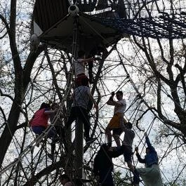 Városliget, Budapest - Egyéb
