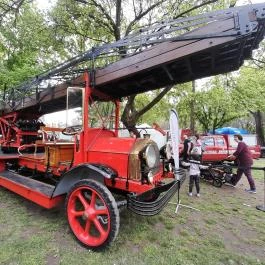Városliget, Budapest - Egyéb
