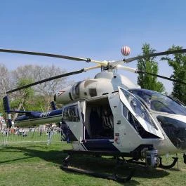 Városliget, Budapest - Egyéb