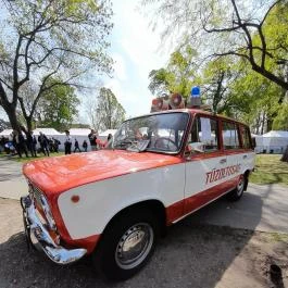 Városliget, Budapest - Egyéb