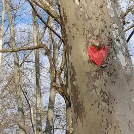 Városliget, Budapest - Egyéb