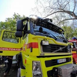 Városliget, Budapest - Egyéb