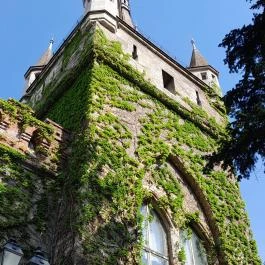 Vajdahunyad Vára, Budapest - Egyéb