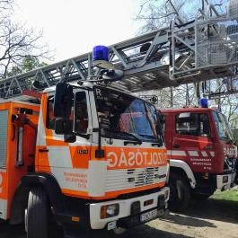 Városliget, Budapest - Egyéb