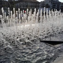 Városliget, Budapest - Egyéb