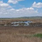 Velencei-tó Velence - Egyéb