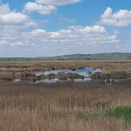Velencei-tó Velence - Egyéb