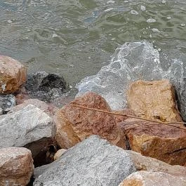 Velencei-tó Velence - Egyéb