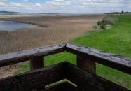 Sarvajc-kereszt és kilátó Gárdony