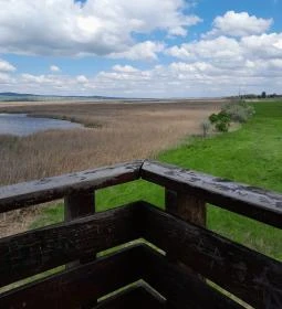 Sarvajc-kereszt és kilátó