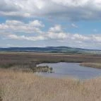 Velencei-tó Velence - Egyéb