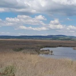 Velencei-tó Velence - Egyéb