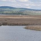 Velencei-tó Velence - Egyéb