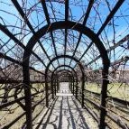 Királyi Palota - Visegrádi Mátyás Király Múzeum Visegrád - Egyéb