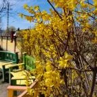 Királyi Palota - Visegrádi Mátyás Király Múzeum Visegrád - Egyéb