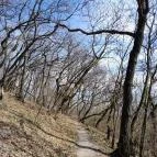 Vörös-kő Tahitótfalu - Egyéb