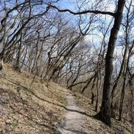 Vörös-kő, Tahitótfalu - Egyéb