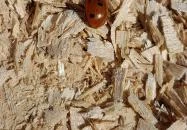 Vörös-kő Tahitótfalu