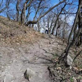 Vörös-kő, Tahitótfalu - Egyéb