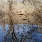 Vörös-kő Tahitótfalu - Egyéb