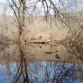Vörös-kő, Tahitótfalu - Egyéb