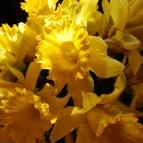 Vörös-kő Tahitótfalu - Egyéb