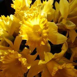 Vörös-kő, Tahitótfalu - Egyéb