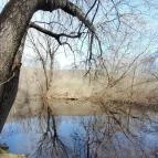 Vörös-kő Tahitótfalu - Egyéb