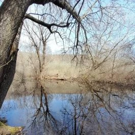 Vörös-kő, Tahitótfalu - Egyéb