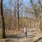 Vörös-kő Tahitótfalu - Egyéb