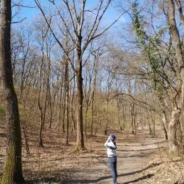 Vörös-kő, Tahitótfalu - Egyéb