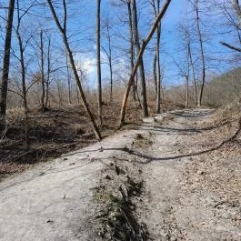 Vörös-kő, Tahitótfalu - Egyéb