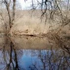 Vörös-kő Tahitótfalu - Egyéb