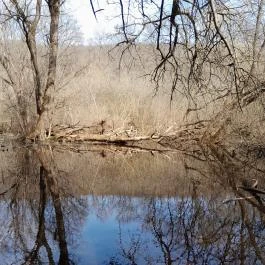Vörös-kő, Tahitótfalu - Egyéb