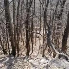 Vörös-kő Tahitótfalu - Egyéb