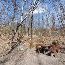 Vörös-kő, Tahitótfalu - Egyéb