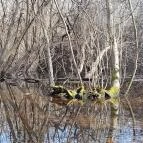 Vörös-kő Tahitótfalu - Egyéb