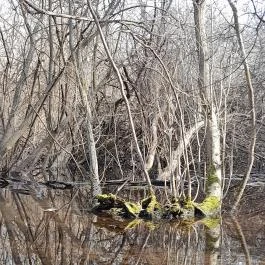 Vörös-kő, Tahitótfalu - Egyéb