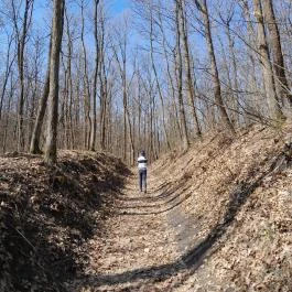 Vörös-kő, Tahitótfalu - Egyéb
