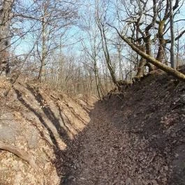 Vörös-kő, Tahitótfalu - Egyéb