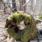 Vörös-kő Tahitótfalu - Egyéb