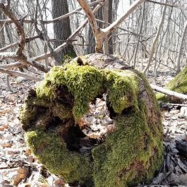 Vörös-kő, Tahitótfalu - Egyéb