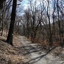 Vörös-kő, Tahitótfalu - Egyéb