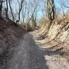 Vörös-kő Tahitótfalu - Egyéb