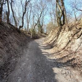 Vörös-kő, Tahitótfalu - Egyéb