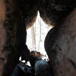 Vörös-kő, Tahitótfalu - Egyéb