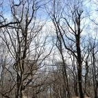 Vörös-kő Tahitótfalu - Egyéb